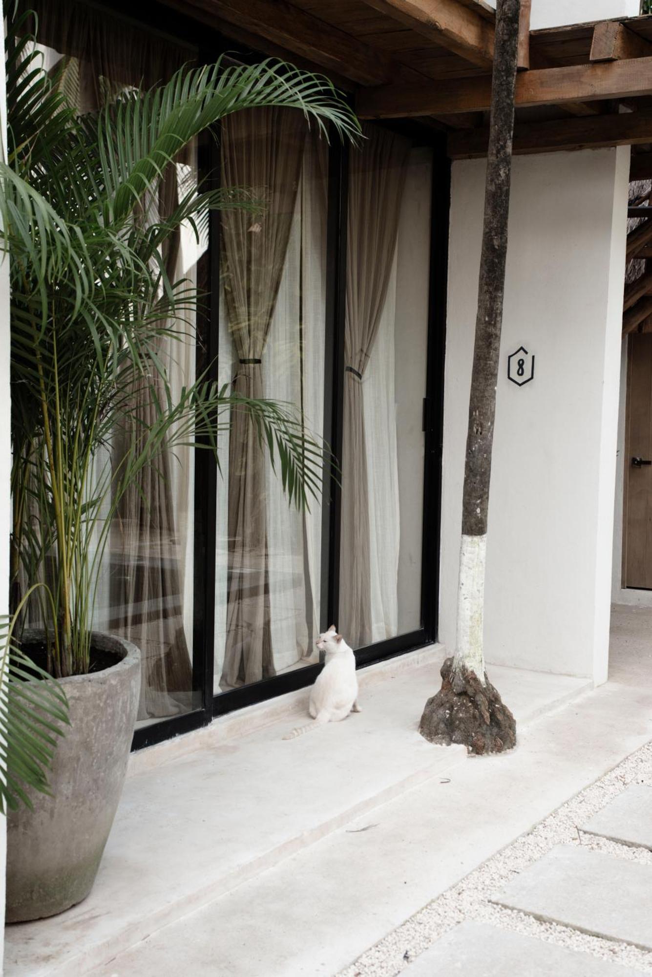 Tuup Tulum Hotel Exterior photo